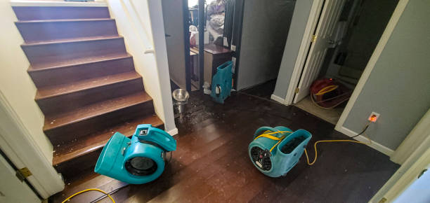 Best Professional water damage repair  in Kulpsville, PA