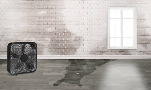 Best 24/7 water damage repair  in Kulpsville, PA