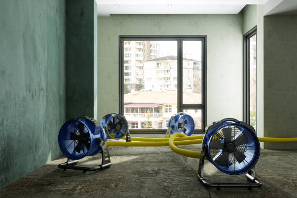 Best Basement water damage restoration  in Kulpsville, PA